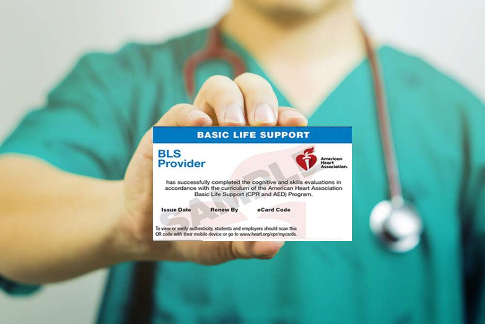 American Heart BLS provider in person